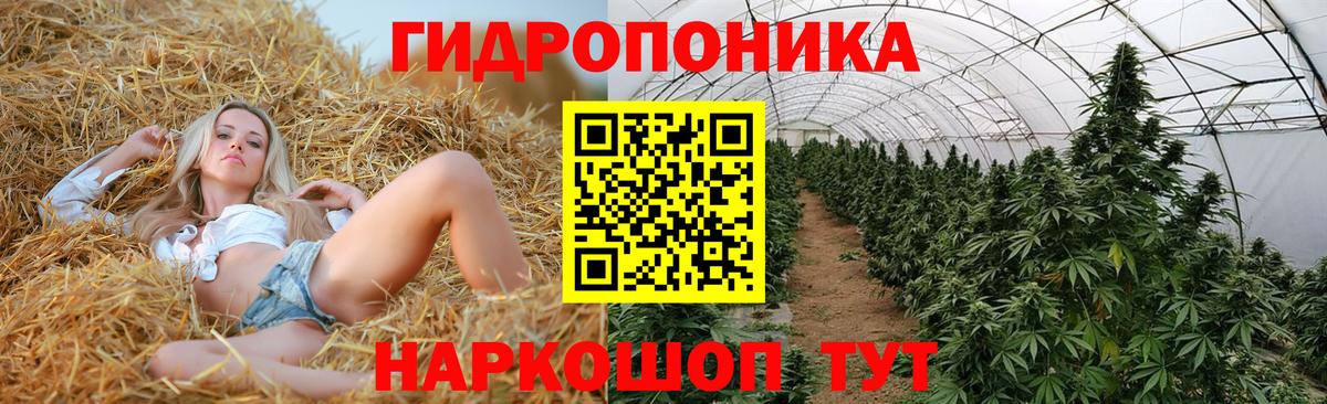 Асино  Конопля гибрид  Конопля сатива  Вход с VPN  Каннабис гибрид 